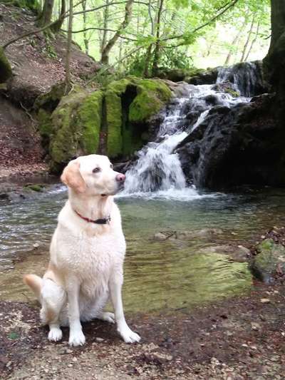 Dogorama-Monats-Challenge-Mai "Wasser"-Beitrag-Bild