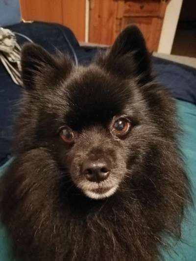 Fotochallange Nr. 57     PORTRÄT.   Beendet!!!!!!!!-Beitrag-Bild