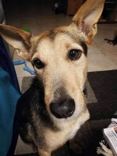 Fotochallange Nr. 57     PORTRÄT.   Beendet!!!!!!!!-Beitrag-Bild