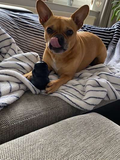 Tongue Out Tuesday-Beitrag-Bild