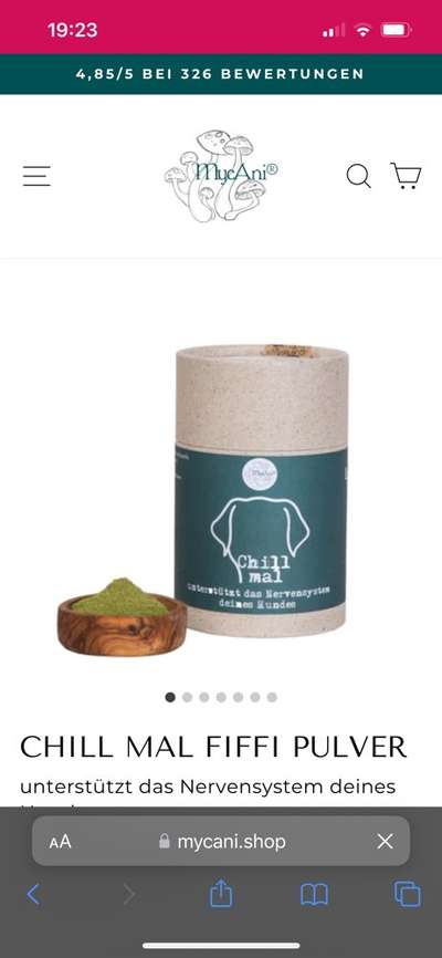 Dauerstress-Beitrag-Bild