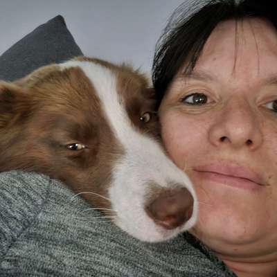 Hundetreffen-Suche andere Border collie