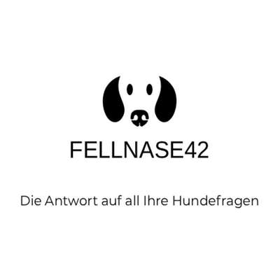 Hundeschulen-Fellnase42-Bild