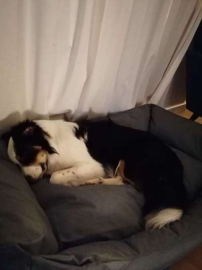 Fotochallange - Eingekugelt-Beitrag-Bild