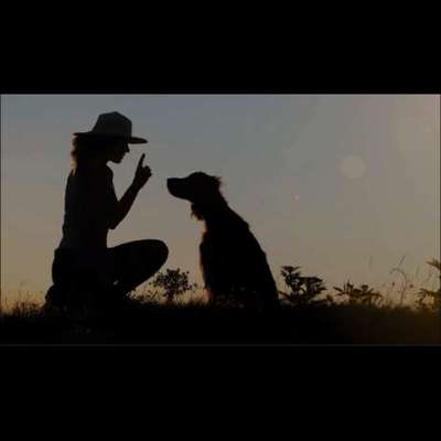 Hundetreffen-Trainingsgassirunde :)-Bild