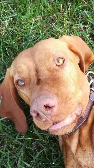 Fotochallange Nr. 57     PORTRÄT.   Beendet!!!!!!!!-Beitrag-Bild