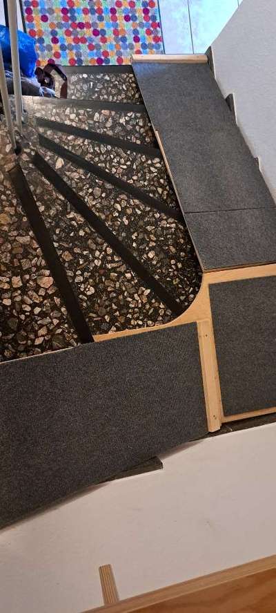 Hund nach Hüft-OP die Treppe hoch tragen-Beitrag-Bild