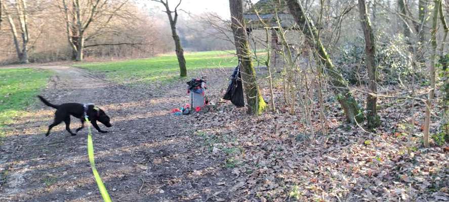 Was hat euch heute genervt?-Beitrag-Bild