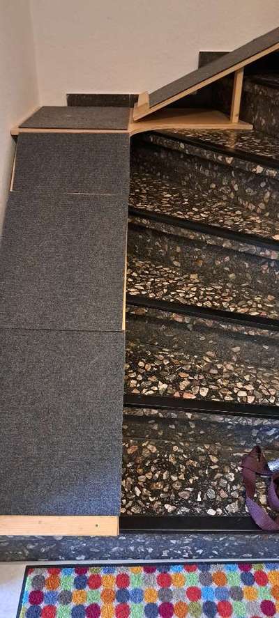 Hund nach Hüft-OP die Treppe hoch tragen-Beitrag-Bild