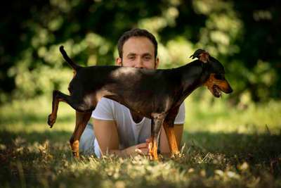 Hundetreffen-Spaziergang in Gödinghoven-Bild