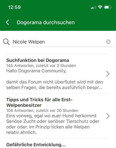 Suchfunktion bei Dogorama-Beitrag-Bild