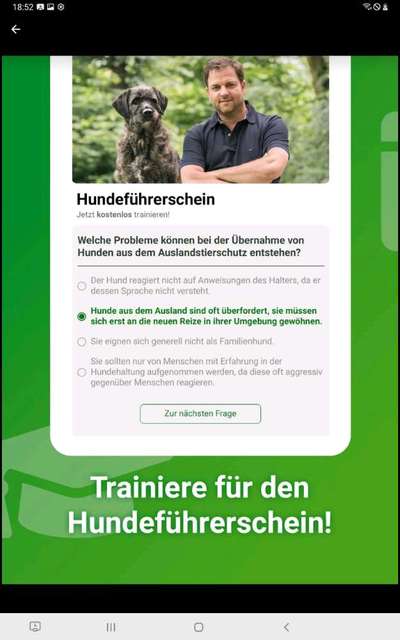 Fragen zum Dogorama-Hundeführerschein-Beitrag-Bild