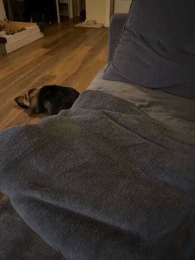 Schlafstätte-Beitrag-Bild