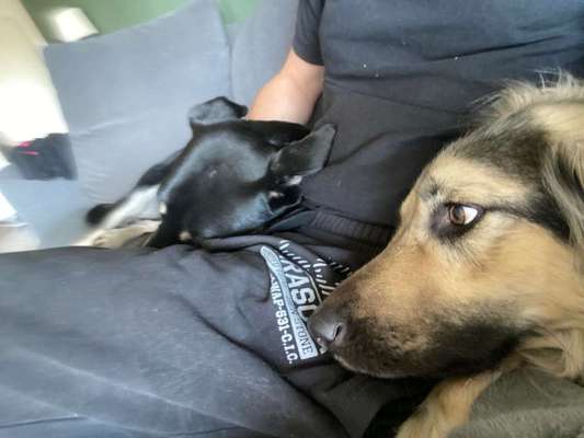 Schmusebilder-Beitrag-Bild