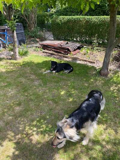 Immer lächeln !-Beitrag-Bild