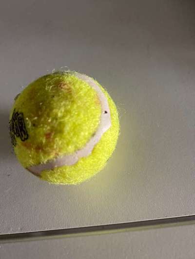 Kong Quietschball mit roten Stellen nach der Benutzung-Beitrag-Bild