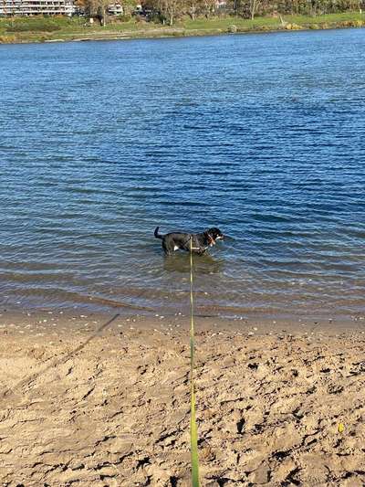 Foto Challenge - BEENDET - bitte aktuelle Challenge nutzen-Beitrag-Bild