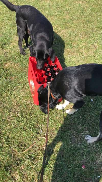 Fotochallenge No. 5-Beitrag-Bild