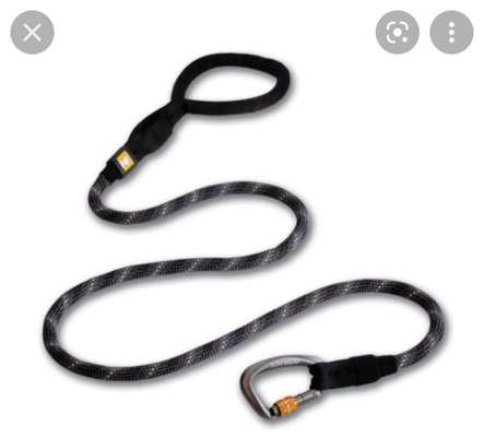 Suche Leine mit gutem Verschluss-Beitrag-Bild