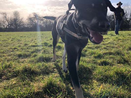 Challenge Nr. 10: "Das schönste Lächeln"-Beitrag-Bild