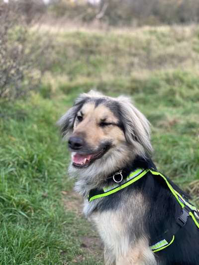 Challenge Nr. 10: "Das schönste Lächeln"-Beitrag-Bild