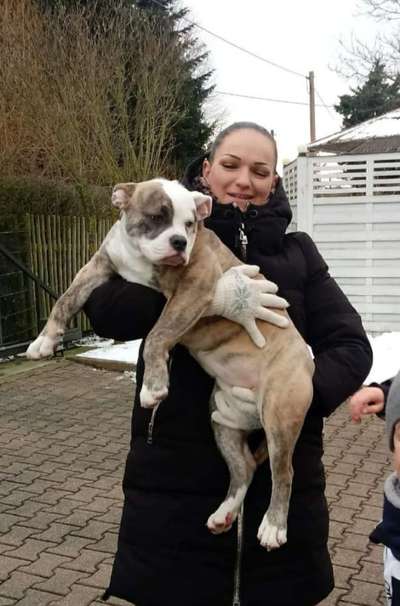 Welpen Bilder !-Beitrag-Bild