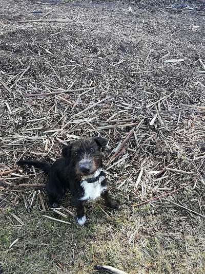 Lieblings Schnappschuss?-Beitrag-Bild