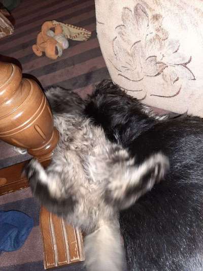 Lieblings Schnappschuss?-Beitrag-Bild