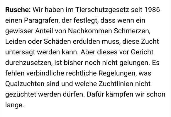 Qualzucht - Warum Aufklärung alleine nicht reicht-Beitrag-Bild