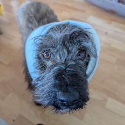 🎆🚫 Silvesterverbot in den Niederlanden! Was denkst du darüber?-Beitrag-Bild