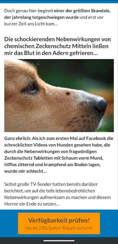 Impfen ja oder nein?-Beitrag-Bild