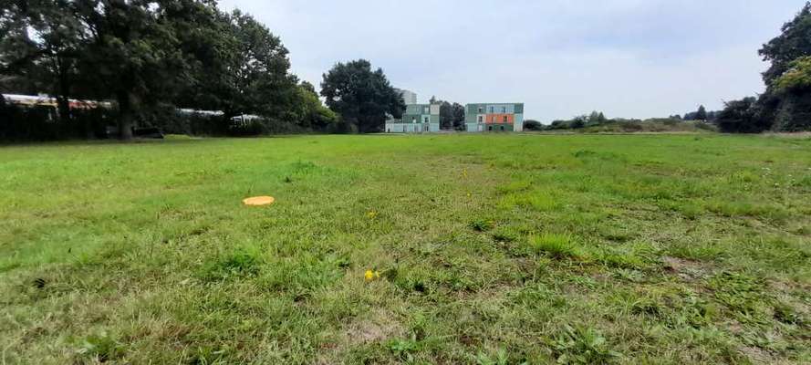 Hundeauslaufgebiet-Sahlkamp am Reiterstadion-Bild