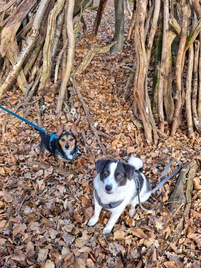 Foto Challenge Nr. 79-Beitrag-Bild