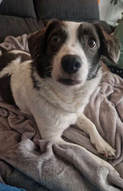 Dogorama Photo Challenge - Portrait-Beitrag-Bild