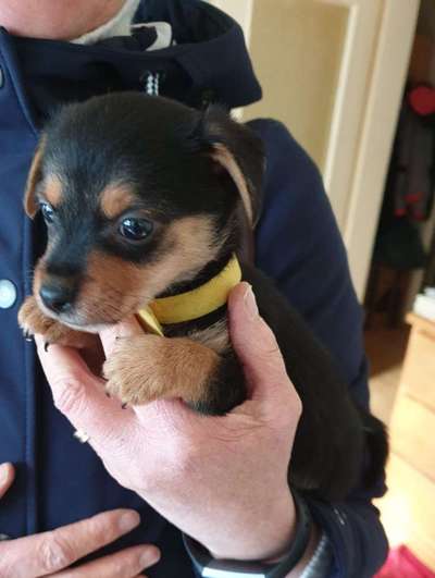 Foto Challenge 82-Beitrag-Bild