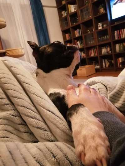 Lieblingsbild-Beitrag-Bild