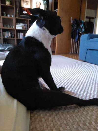 Fotochallenge No. 5-Beitrag-Bild