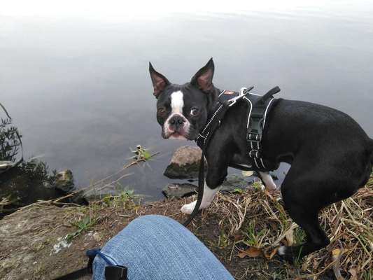 Foto Challenge - BEENDET - bitte aktuelle Challenge nutzen-Beitrag-Bild