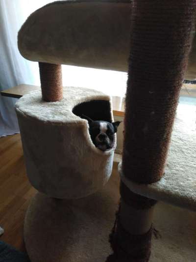 Foto Challenge 3-Beitrag-Bild