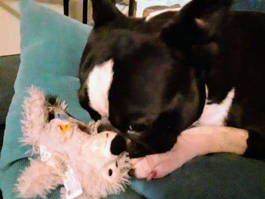 Foto Challenge die Vierte-Beitrag-Bild