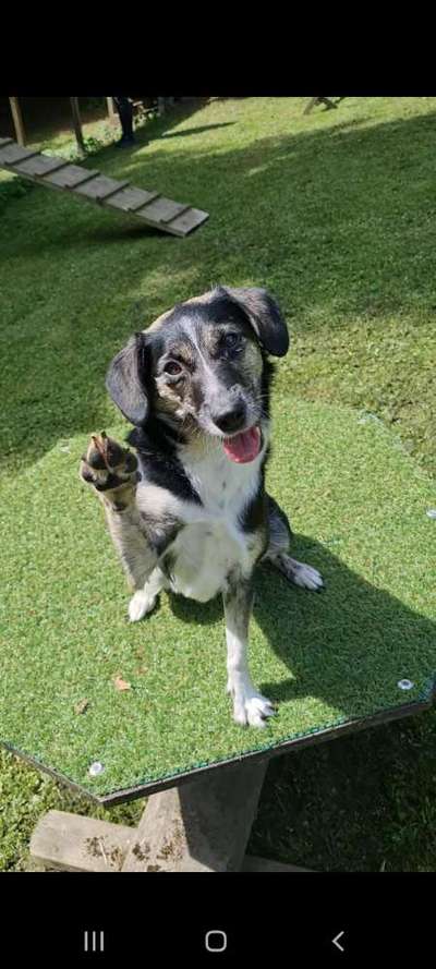 25. Handy Foto Challenge-Beitrag-Bild