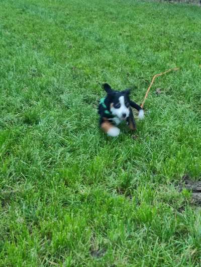 Un...scharf Bilder-Beitrag-Bild