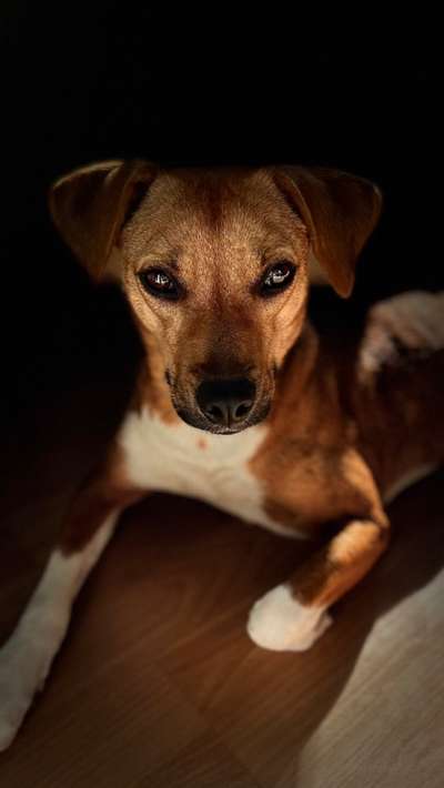 150. Foto Challaenge:  Die Augen, der Spiegel der Seele-Beitrag-Bild