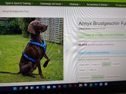 Welches Geschirr ist Euer Favourit?-Beitrag-Bild