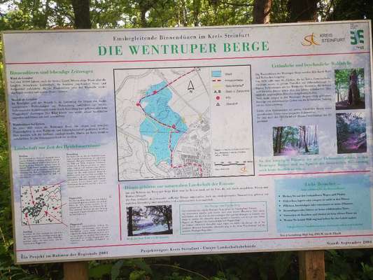 Hundeauslaufgebiet-Naturschutzgebiet Wentruper Berge-Bild