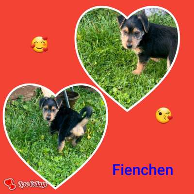 Fotochallange Nr. 57     PORTRÄT.   Beendet!!!!!!!!-Beitrag-Bild