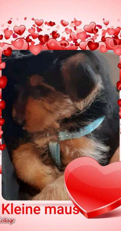 Fotochallange Nr. 57     PORTRÄT.   Beendet!!!!!!!!-Beitrag-Bild