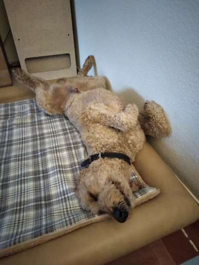 Fotochallenge Nr.65-Beitrag-Bild