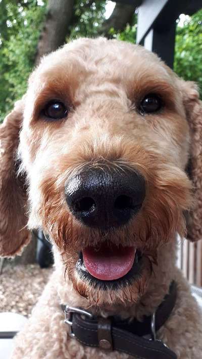 Lieblingsbild :D-Beitrag-Bild