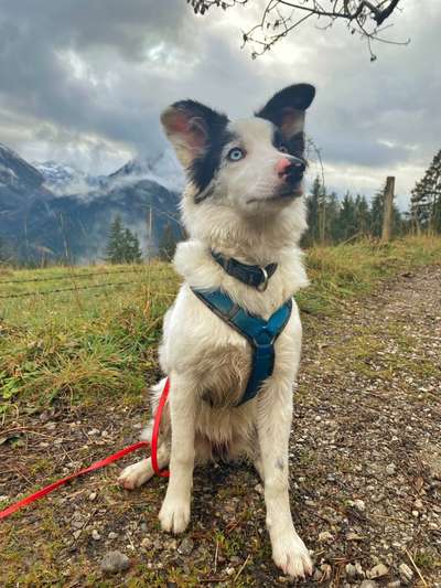 Fotochallenge Nr 107-Beitrag-Bild